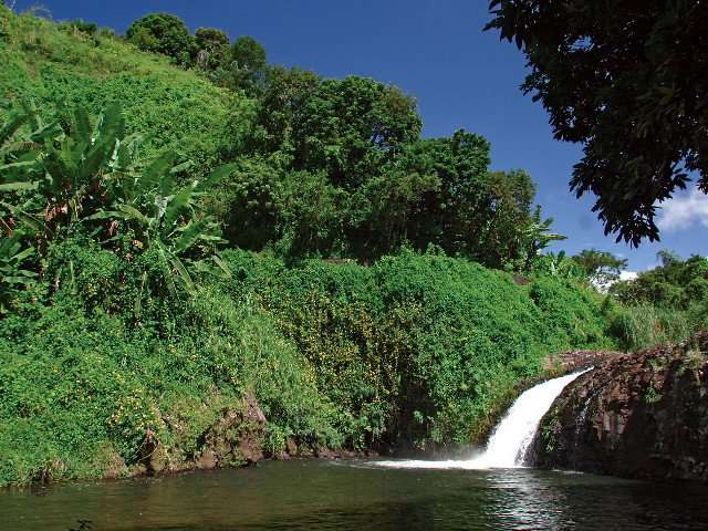 Cascade Délices