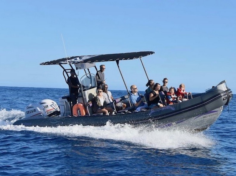 Cetasea : jusqu’à -30% de réduction