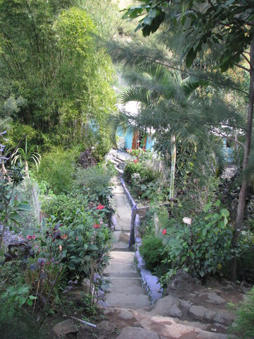 Gîte des Bambous