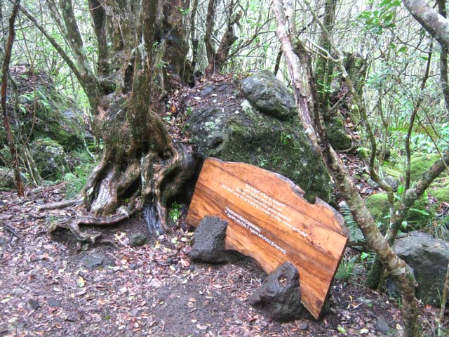 La boucle du sentier de la découverte de Cilaos à La Roche Merveilleuse