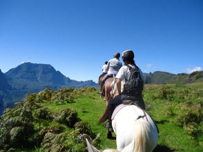 Les Chevaux du Maïdo : jusqu’à -30% de réduction