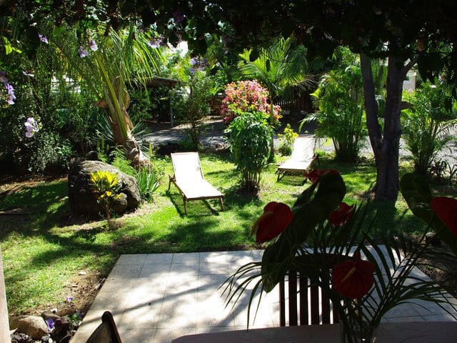 Ti Bois de Nèfles Cocos
